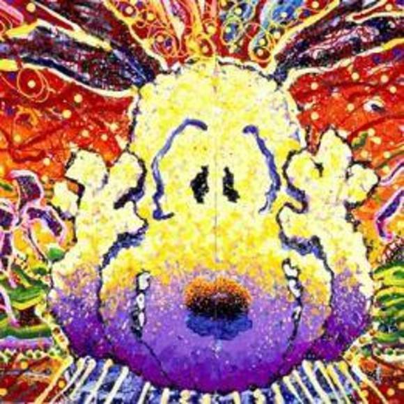 Meet your Posher, Jessie - Picture 1 of 1